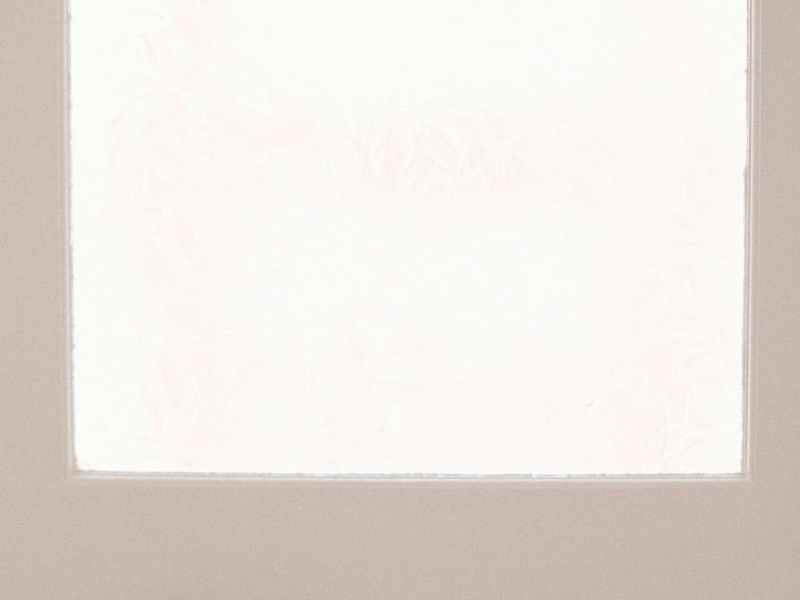 Bienvenido, posparto